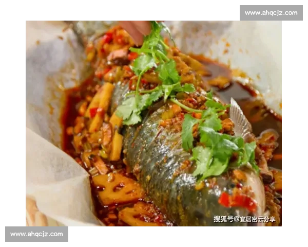 大邱与首尔城市生活对比探秘美食文化交通与宜居指数分析